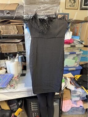 LPA Black Feather Trim Strapless Bodycon‎ Dress Size S